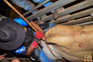 Filename=DSC_3453.jpg
Filesize=325KiB
Dimensions=960x636
Date added=Jun 20, 2024 DSC_3453.jpg