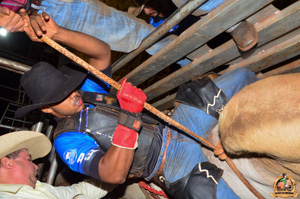 Filename=DSC_3454.jpg
Filesize=354KiB
Dimensions=960x636
Date added=Jun 20, 2024 DSC_3454.jpg