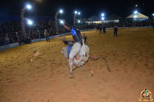 Filename=DSC_3455.jpg
Filesize=250KiB
Dimensions=960x636
Date added=Jun 20, 2024 DSC_3455.jpg