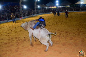 Filename=DSC_3456.jpg
Filesize=294KiB
Dimensions=960x636
Date added=Jun 20, 2024 DSC_3456.jpg