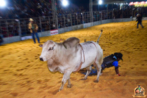 Filename=DSC_3458.jpg
Filesize=306KiB
Dimensions=960x636
Date added=Jun 20, 2024 DSC_3458.jpg