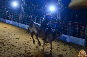 Filename=DSC_3462.jpg
Filesize=270KiB
Dimensions=960x636
Date added=Jun 20, 2024 DSC_3462.jpg