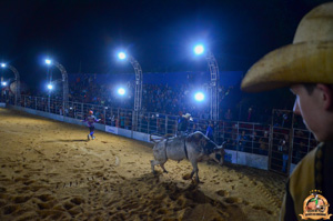 Filename=DSC_3463.jpg
Filesize=257KiB
Dimensions=960x636
Date added=Jun 20, 2024 DSC_3463.jpg