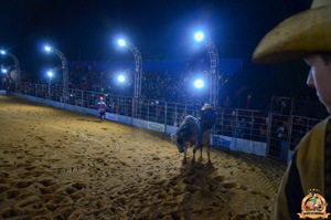 Filename=DSC_3464.jpg
Filesize=272KiB
Dimensions=960x636
Date added=Jun 20, 2024 DSC_3464.jpg