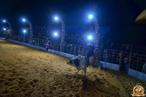 Filename=DSC_3465.jpg
Filesize=267KiB
Dimensions=960x636
Date added=Jun 20, 2024 DSC_3465.jpg