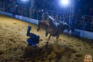 Filename=DSC_3467.jpg
Filesize=292KiB
Dimensions=960x636
Date added=Jun 20, 2024 DSC_3467.jpg