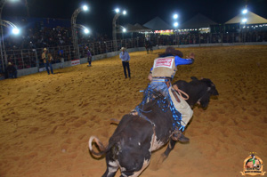 Filename=DSC_3471.jpg
Filesize=264KiB
Dimensions=960x636
Date added=Jun 20, 2024 DSC_3471.jpg