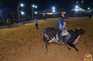 Filename=DSC_3472.jpg
Filesize=253KiB
Dimensions=960x636
Date added=Jun 20, 2024 DSC_3472.jpg