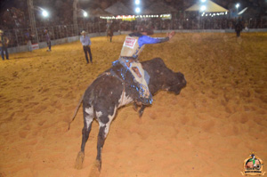 Filename=DSC_3474.jpg
Filesize=250KiB
Dimensions=960x636
Date added=Jun 20, 2024 DSC_3474.jpg