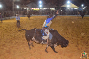 Filename=DSC_3475.jpg
Filesize=265KiB
Dimensions=960x636
Date added=Jun 20, 2024 DSC_3475.jpg