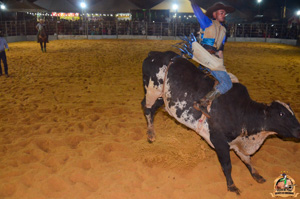 Filename=DSC_3477.jpg
Filesize=289KiB
Dimensions=960x636
Date added=Jun 20, 2024 DSC_3477.jpg