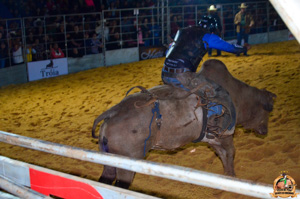 Filename=DSC_3479.jpg
Filesize=277KiB
Dimensions=960x636
Date added=Jun 20, 2024 DSC_3479.jpg