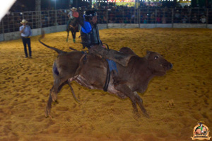 Filename=DSC_3482.jpg
Filesize=272KiB
Dimensions=960x636
Date added=Jun 20, 2024 DSC_3482.jpg