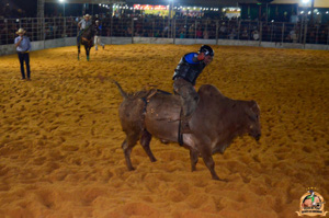 Filename=DSC_3483.jpg
Filesize=299KiB
Dimensions=960x636
Date added=Jun 20, 2024 DSC_3483.jpg