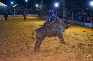 Filename=DSC_3484.jpg
Filesize=330KiB
Dimensions=960x636
Date added=Jun 20, 2024 DSC_3484.jpg