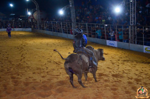 Filename=DSC_3485.jpg
Filesize=279KiB
Dimensions=960x636
Date added=Jun 20, 2024 DSC_3485.jpg