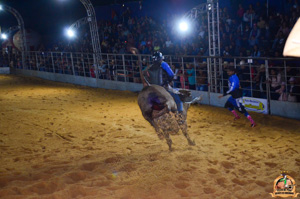 Filename=DSC_3486.jpg
Filesize=297KiB
Dimensions=960x636
Date added=Jun 20, 2024 DSC_3486.jpg