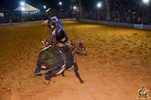 Filename=DSC_3491.jpg
Filesize=301KiB
Dimensions=960x636
Date added=Jun 20, 2024 DSC_3491.jpg