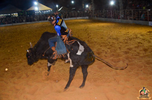 Filename=DSC_3492.jpg
Filesize=276KiB
Dimensions=960x636
Date added=Jun 20, 2024 DSC_3492.jpg