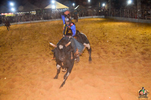 Filename=DSC_3493.jpg
Filesize=301KiB
Dimensions=960x636
Date added=Jun 20, 2024 DSC_3493.jpg