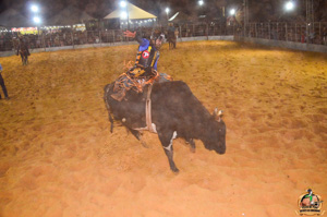 Filename=DSC_3494.jpg
Filesize=290KiB
Dimensions=960x636
Date added=Jun 20, 2024 DSC_3494.jpg