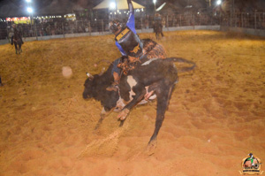 Filename=DSC_3495.jpg
Filesize=282KiB
Dimensions=960x636
Date added=Jun 20, 2024 DSC_3495.jpg