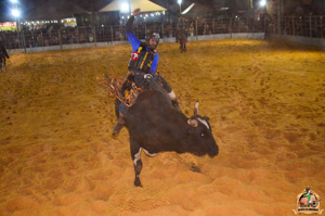 Filename=DSC_3496.jpg
Filesize=316KiB
Dimensions=960x636
Date added=Jun 20, 2024 DSC_3496.jpg