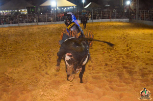 Filename=DSC_3497.jpg
Filesize=330KiB
Dimensions=960x636
Date added=Jun 20, 2024 DSC_3497.jpg