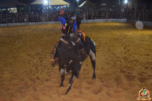 Filename=DSC_3498.jpg
Filesize=272KiB
Dimensions=960x636
Date added=Jun 20, 2024 DSC_3498.jpg