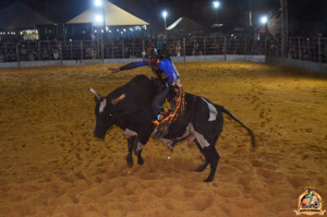 Filename=DSC_3500.jpg
Filesize=276KiB
Dimensions=960x636
Date added=Jun 20, 2024 DSC_3500.jpg