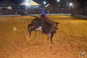 Filename=DSC_3501.jpg
Filesize=305KiB
Dimensions=960x636
Date added=Jun 20, 2024 DSC_3501.jpg