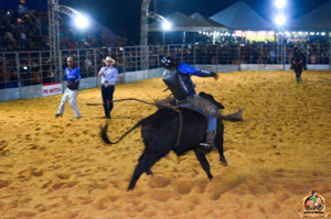 Filename=DSC_3504.jpg
Filesize=326KiB
Dimensions=960x636
Date added=Jun 20, 2024 DSC_3504.jpg