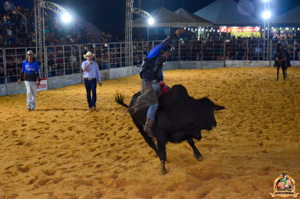 Filename=DSC_3506.jpg
Filesize=322KiB
Dimensions=960x636
Date added=Jun 20, 2024 DSC_3506.jpg