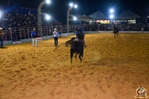 Filename=DSC_3507.jpg
Filesize=325KiB
Dimensions=960x636
Date added=Jun 20, 2024 DSC_3507.jpg