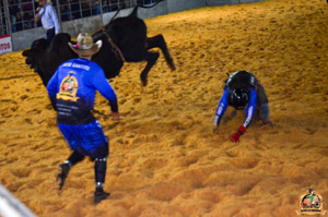 Filename=DSC_3508.jpg
Filesize=331KiB
Dimensions=960x636
Date added=Jun 20, 2024 DSC_3508.jpg