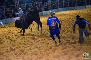 Filename=DSC_3509.jpg
Filesize=346KiB
Dimensions=960x636
Date added=Jun 20, 2024 DSC_3509.jpg