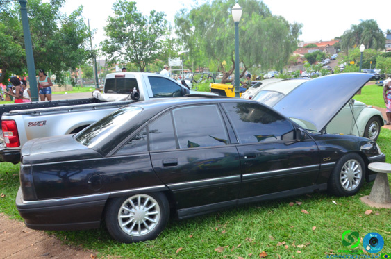 Filename=DSC_4284.jpg
Filesize=325KiB
Dimensions=960x636
Date added=Nov 24, 2025 DSC_4284.jpg