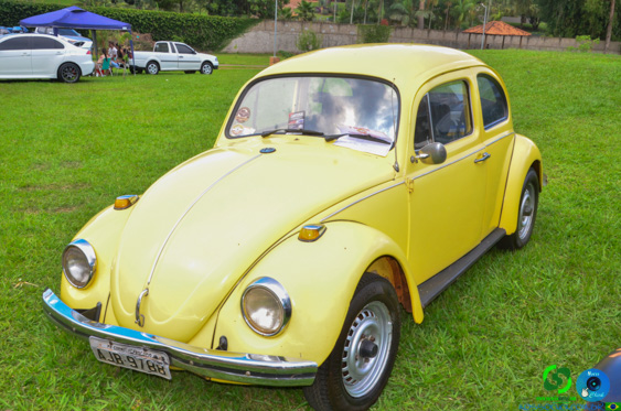 Filename=DSC_4296.jpg
Filesize=319KiB
Dimensions=960x636
Date added=Nov 24, 2025 DSC_4296.jpg