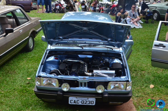 Filename=DSC_4317.jpg
Filesize=342KiB
Dimensions=960x636
Date added=Nov 24, 2025 DSC_4317.jpg