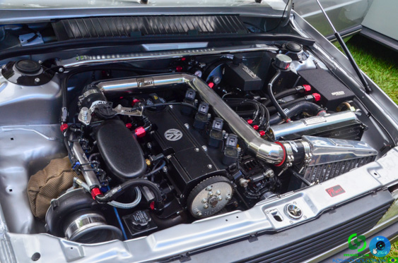 Filename=DSC_4321.jpg
Filesize=287KiB
Dimensions=960x636
Date added=Nov 24, 2025 DSC_4321.jpg