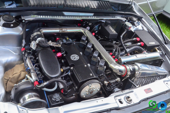 Filename=DSC_4322.jpg
Filesize=290KiB
Dimensions=960x636
Date added=Nov 24, 2025 DSC_4322.jpg