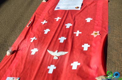 Filename=DSC_6886.jpg
Filesize=302KiB
Dimensions=960x636
Date added=Jun 20, 2025 DSC_6886.jpg