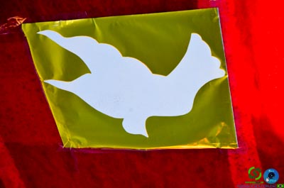 Filename=DSC_7415.jpg
Filesize=191KiB
Dimensions=960x636
Date added=Jun 20, 2025 DSC_7415.jpg