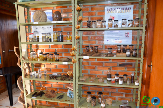 Filename=DSC_2077.jpg
Filesize=371KiB
Dimensions=960x636
Date added=Jul 21, 2025 DSC_2077.jpg