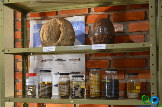 Filename=DSC_2078.jpg
Filesize=261KiB
Dimensions=960x636
Date added=Jul 21, 2025 DSC_2078.jpg