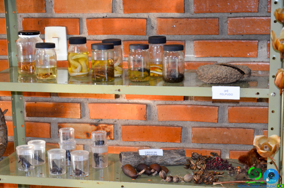 Filename=DSC_2079.jpg
Filesize=330KiB
Dimensions=960x636
Date added=Jul 21, 2025 DSC_2079.jpg