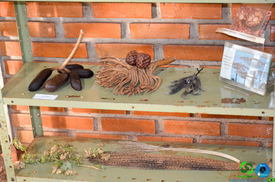 Filename=DSC_2080.jpg
Filesize=322KiB
Dimensions=960x636
Date added=Jul 21, 2025 DSC_2080.jpg