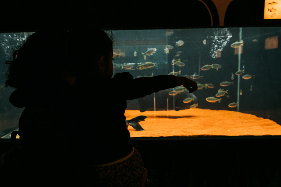 Aquario-215.jpg