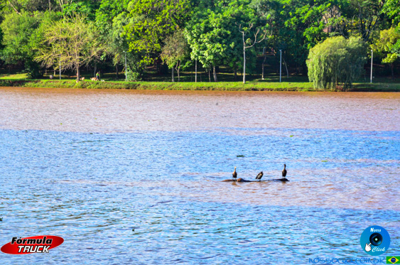 Filename=DSC_7874.jpg
Filesize=461KiB
Dimensions=960x636
Date added=Oct 21, 2025 DSC_7874.jpg