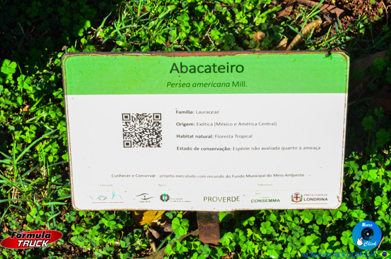 Filename=DSC_7876.jpg
Filesize=365KiB
Dimensions=960x636
Date added=Oct 21, 2025 DSC_7876.jpg